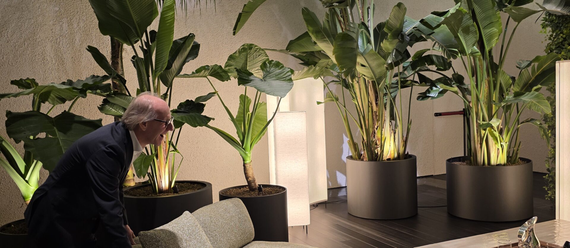 Minotti outdoor