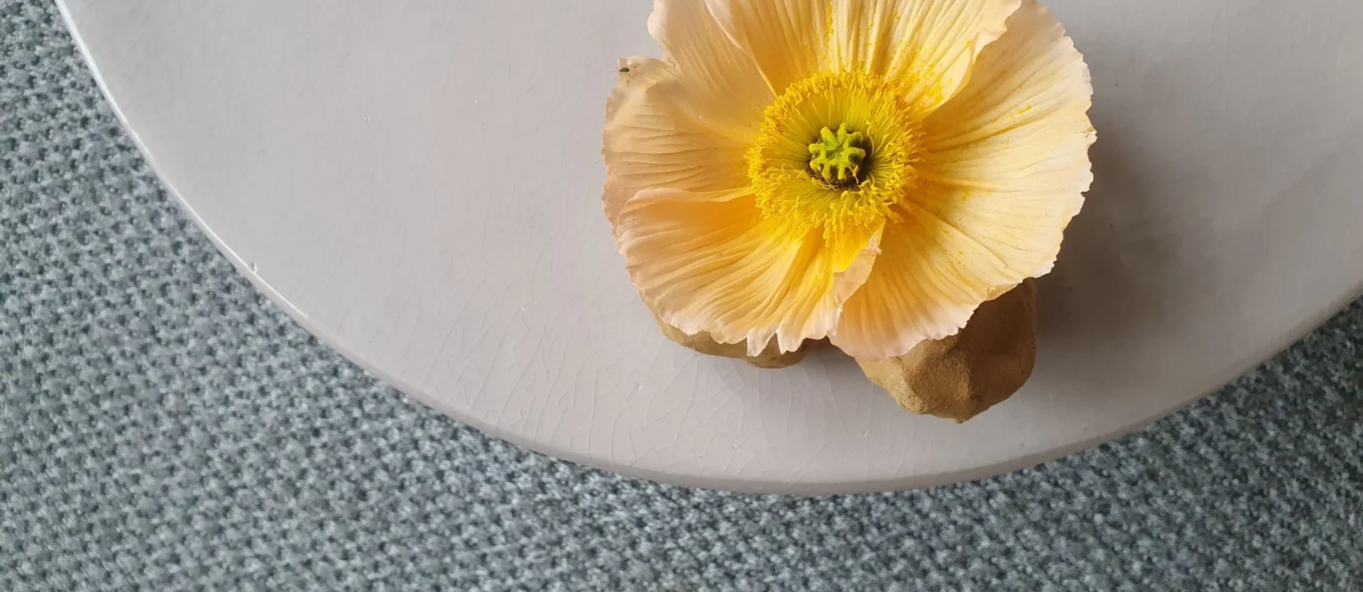 Poliform outdoor Mad out sofa Lounge M-Studio Reiter