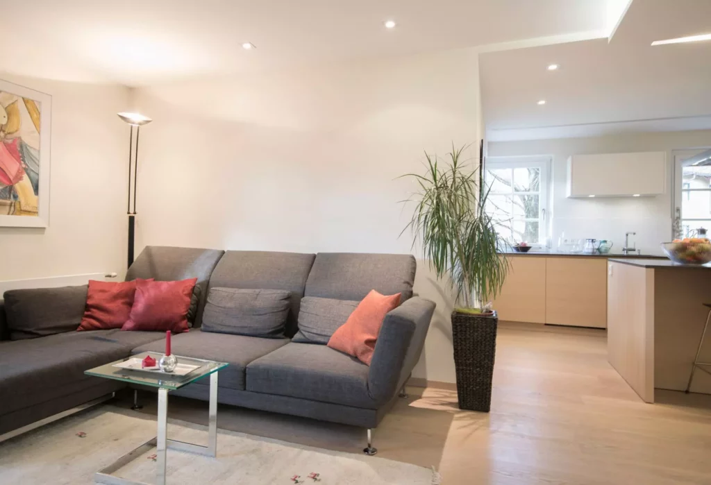 Moderner Wohnraum mit grauem Poliform Sofa, roten Kissen, Glas-Beistelltisch, großer Pflanze und offener, Referenzen