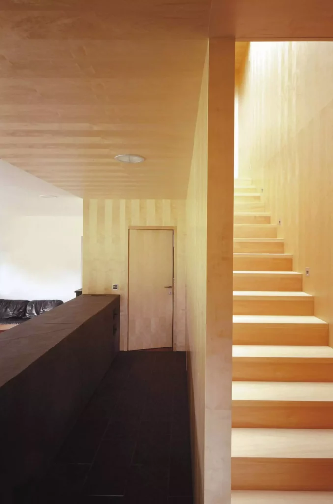 Moderner Innenraum mit maßgefertigten Holzvertäfelungen, Treppe und Tür in einem Einfamilienhaus in Altenmarkt, Referenz