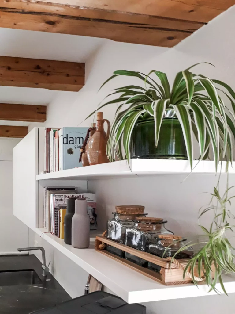 Weiße Wandregale mit Büchern, Keramikvasen, Glasbehältern mit Korkdeckeln und grünen Zimmerpflanzen vor, Selectiond